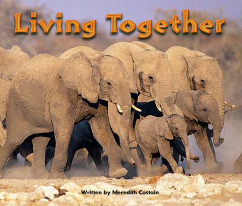 Gear Up Level L Living Together 6 Pack