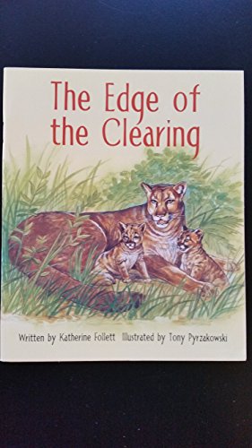 The Edge Of The Cleaning