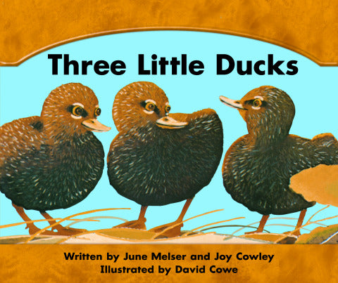Wright Skills Three Little Ducks Big Book
