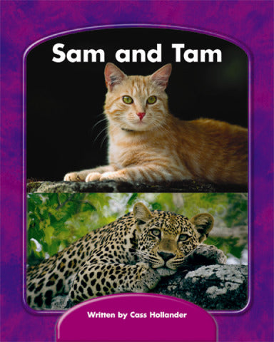 Wright Skills Sam & Tam Decodable Grade K