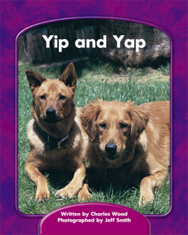Yip & Yap