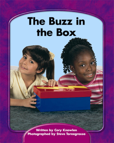 Wright Skills The Buzz In The Box 6 Pack