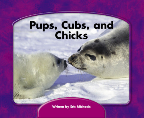 Pups Cubs & Chicks