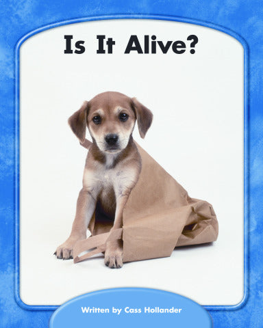 Wright Skills Is It Alive 6 Pack