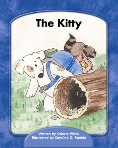 Wright Skills The Kitty Decodable Grade 1