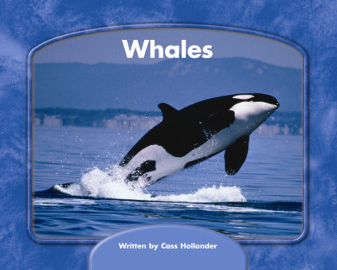 Wright Skills Grade Prek 3 Whales 6 Pack