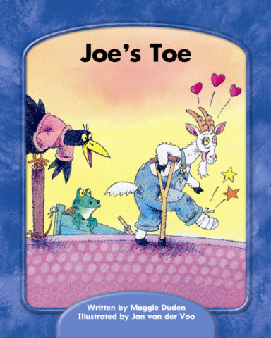 Wright Skills Joes Toe 6 Pack
