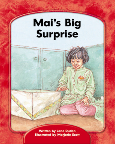 Wright Skills Grade Prek 3 Mais Big Surprise 6 Pack