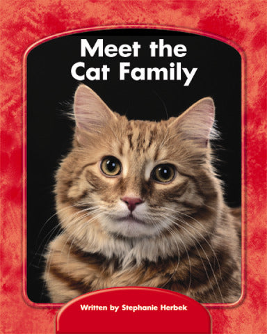 Wright Skills Grade Prek 3 Meet The Cat Family 6 Pack