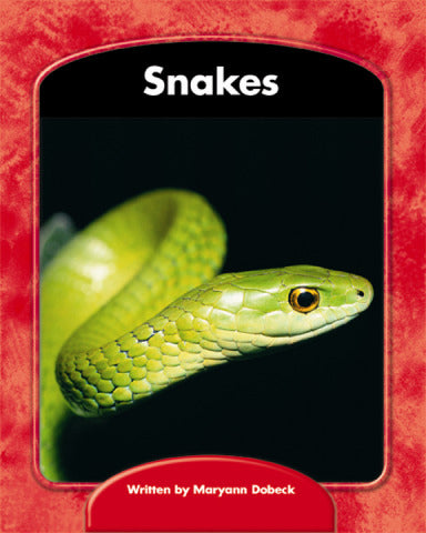 Wright Skills Snakes 6 Pack