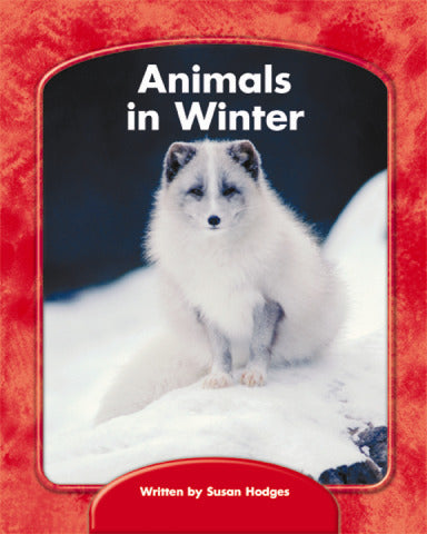 Wright Skills Animals In Winter 6 Pack