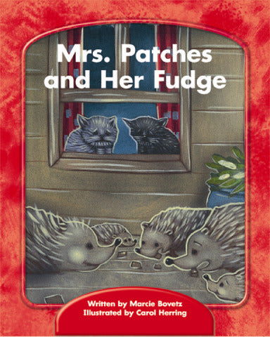 Wright Skills Mrs Patches & Her Fudge 6 Pack