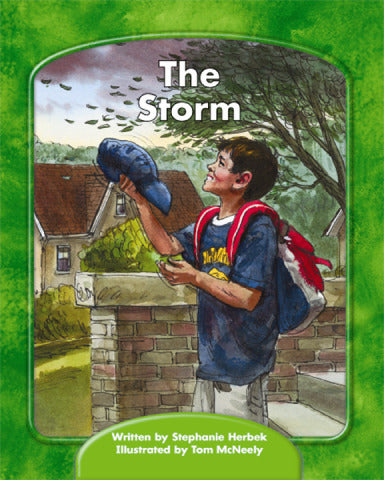 Wright Skills Grade Prek 3 The Storm 6 Pack