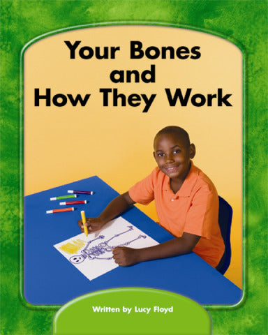 Wright Skills Grade Prek 3 Your Bones & How They Work 6 Pack