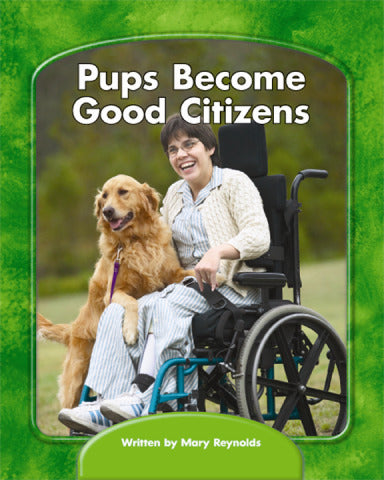 Wright Skills Grade Prek 3 Pups Become Good Citizens 6 Pack