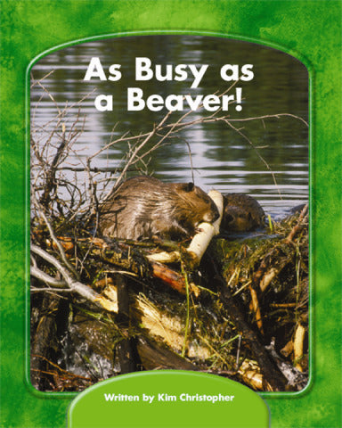 Wright Skills Grade Prek 3 As Busy As A Beaver 6 Pack