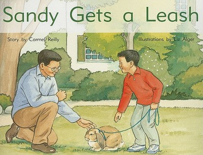 Rigby PM Stars Individual Student Edition Yellow (Levels 6-8) Sandy Gets a Leash