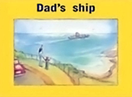 Rigby PM Stars Leveled Reader Bookroom Package Magenta (Levels 2-3) Dad's ship