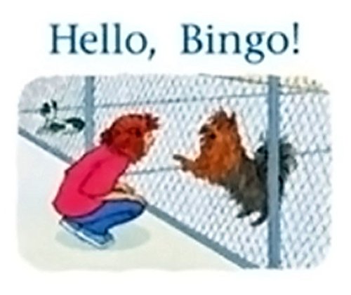 Rigby PM Stars Leveled Reader Bookroom Package Magenta (Levels 2-3) Hello, Bingo!