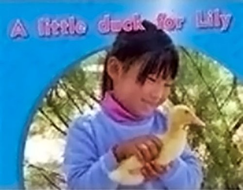 Rigby PM Photo Stories Leveled Reader Bookroom Package Magenta (Levels 2-3) A little duck for Lily