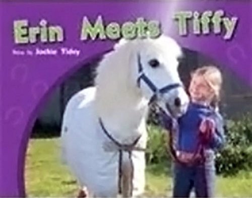 Rigby PM Photo Stories Leveled Reader Bookroom Package Red (Levels 3-5) Erin Meets Tiffy