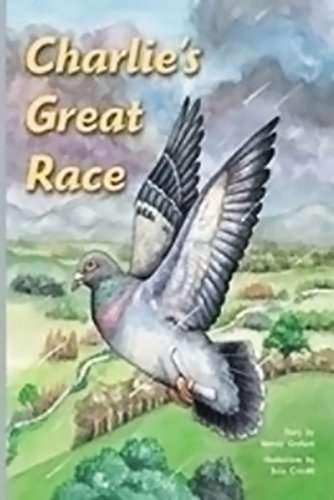 Rigby PM Plus Leveled Reader Bookroom Package Silver (Levels 23-24) Charlie's Great Race