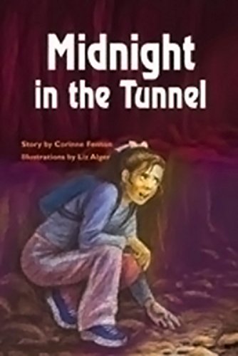 Rigby PM Plus Extension Leveled Reader Bookroom Package Emerald (Levels 25-26) Midnight In the Tunnel