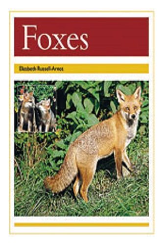 Rigby PM Collection Leveled Reader Bookroom Package Gold (Levels 21-22) Foxes