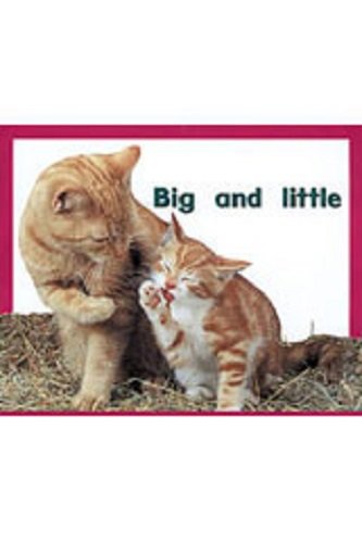 Rigby PM Plus Starters Leveled Reader Bookroom Package Magenta (Level 2) Big andLittle