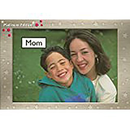 Rigby PM Platinum Collection Leveled Reader Bookroom Package Magenta (Levels 1-2) Mom