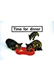 Rigby PM Platinum Collection Leveled Reader Bookroom Package Magenta (Levels 1-2) Time for Dinner