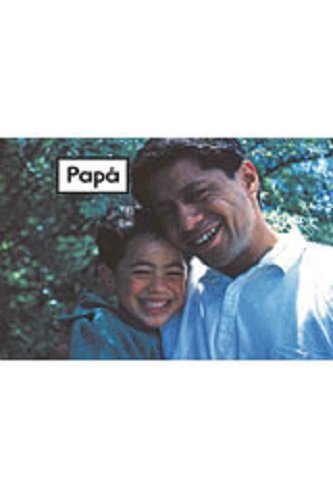 Rigby PM Coleccion  Bookroom Package  (Levels 1-2) Papa (Dad)