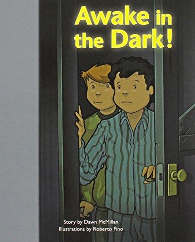 Rigby PM Stars Bridge Books Leveled Reader 6pk Silver Awake in the Dark