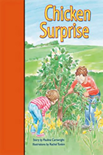 Rigby PM Stars Bridge Books Individual Student Edition Orange Chicken Surprise