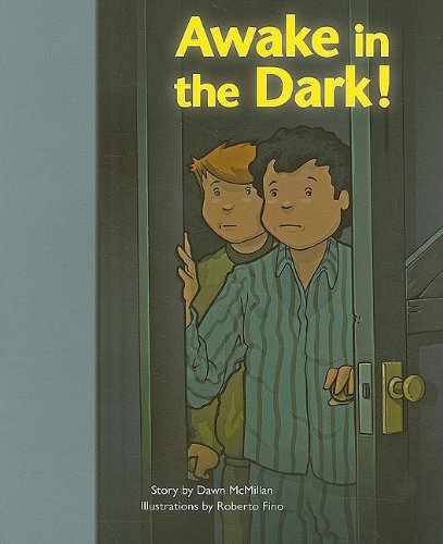 Rigby PM Stars Bridge Books Individual Student Edition Silver Awake in the Dark!