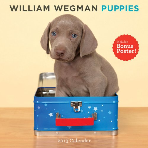William Wegman Puppies 2013 Wall Calendar