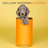 William Wegman Puppies 2016 Wall Calendar