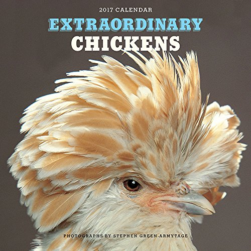 Extraordinary Chickens 2017 Wall Calendar