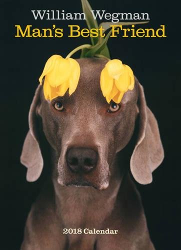 William Wegman Mans Best Friend 2018 Wall Calendar