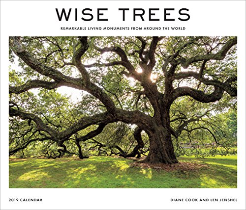 Wise Trees 2019 Wall Calendar