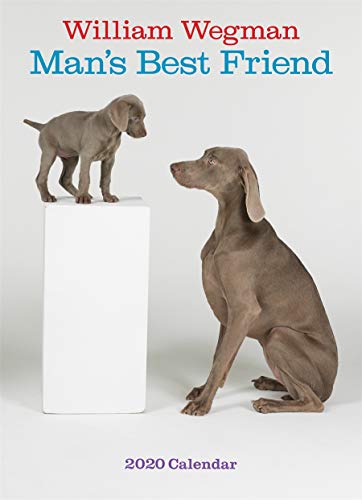 William Wegman Mans Best Friend 2020 Wall Calendar