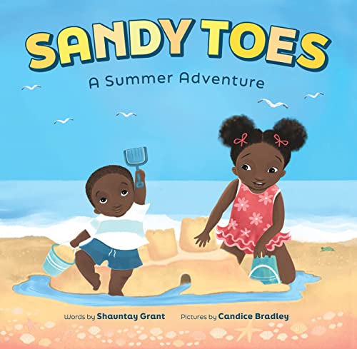 Sandy Toes A Summer Adventure A Lets Play Outside Book