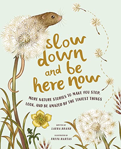 Slow Down & Be Here Now