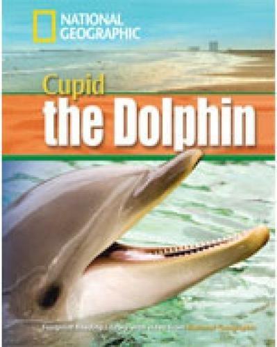 Cupid the Dolphin + Book with Multi-ROM