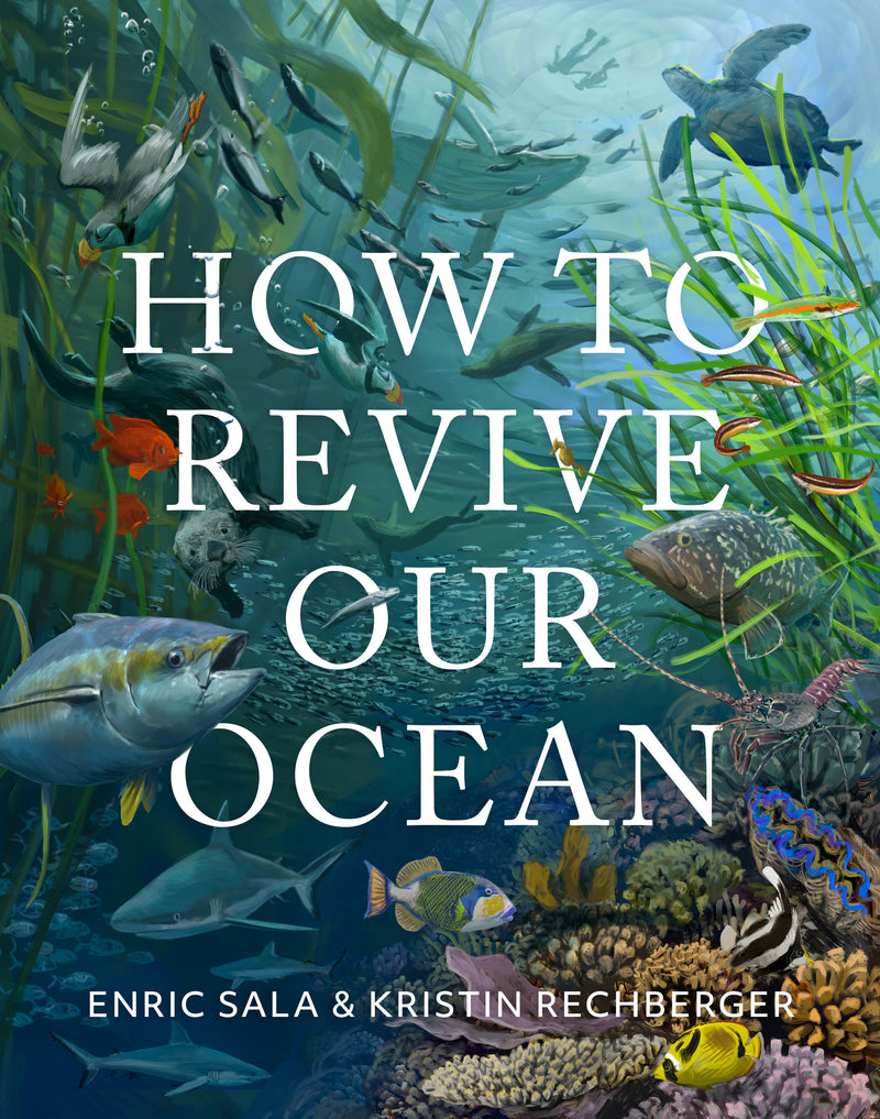 How to Revive Our Ocean
