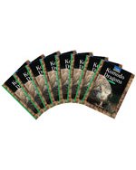Theme Sets: Komodo Dragons (8-Pack)