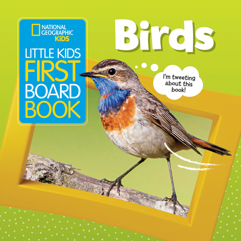 First Board Books