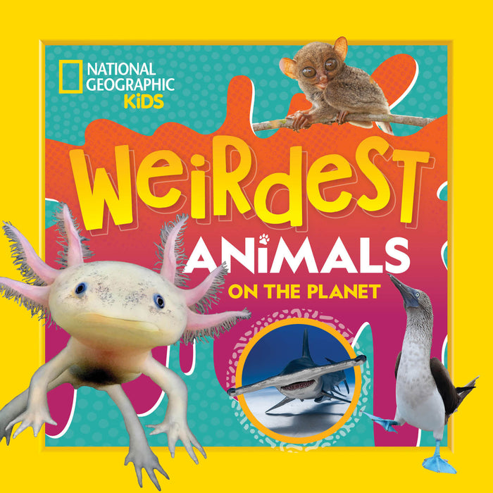 Weirdest Animals on the Planet