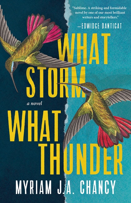 What Storm, What Thunder: A Novel