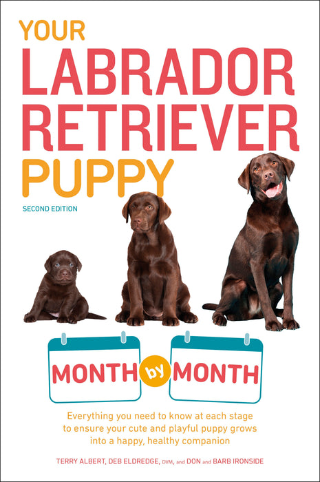 Your Puppy Month by Month